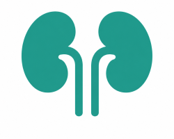 Best Kidney Specialist in Gurgaon